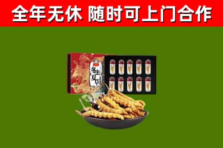 普兰店烟酒回收冬虫夏草礼盒.jpg