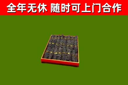 普兰店回收海参